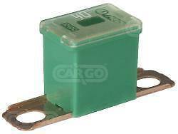 40 Amp Pal Japanese Fuse Slow Blow 283 Series Green 12V 24V 32V Cargo 191634 - Mid-Ulster Rotating Electrics Ltd