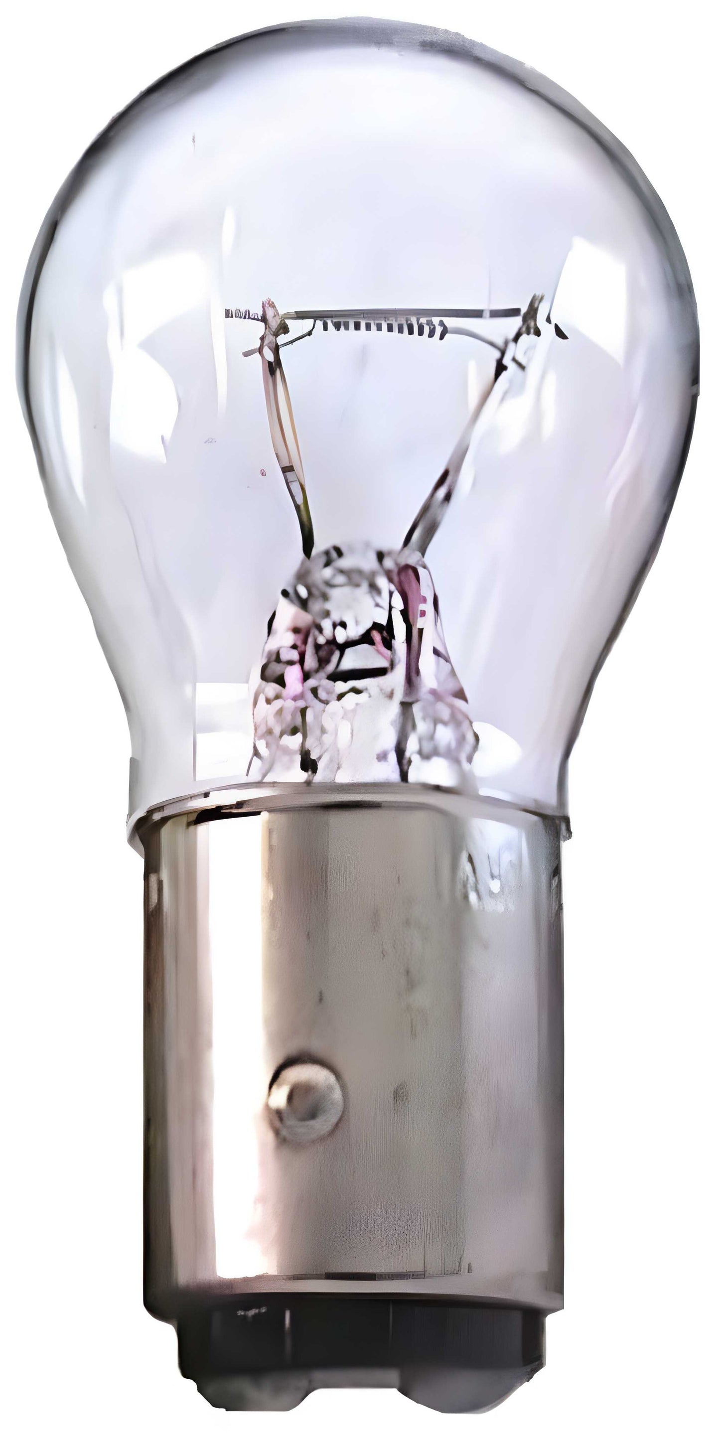 Car light bulb with clear glass and metallic base on a white background