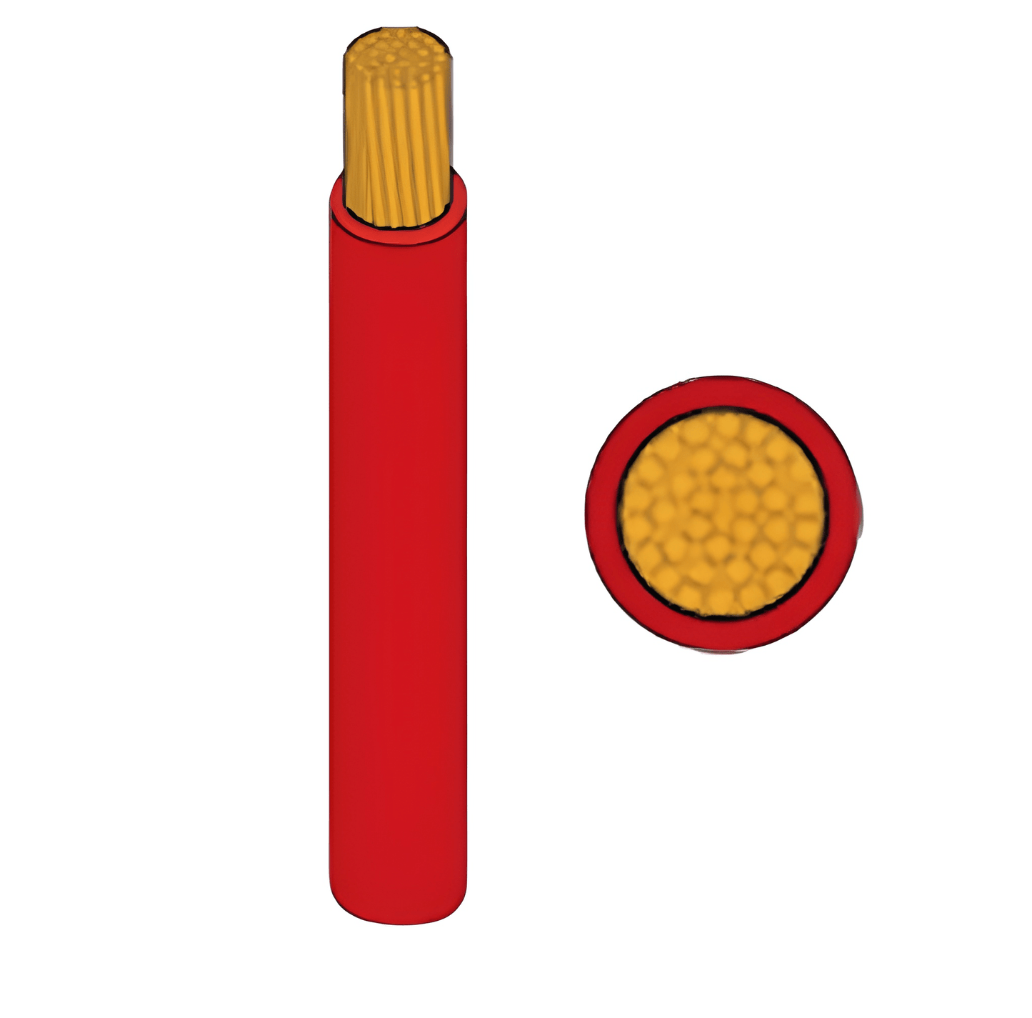 Illustration of a red automotive wire, showing a side view with its multi-strand copper conductor exposed, alongside a circular cross-section. available in 50M and 100M reels